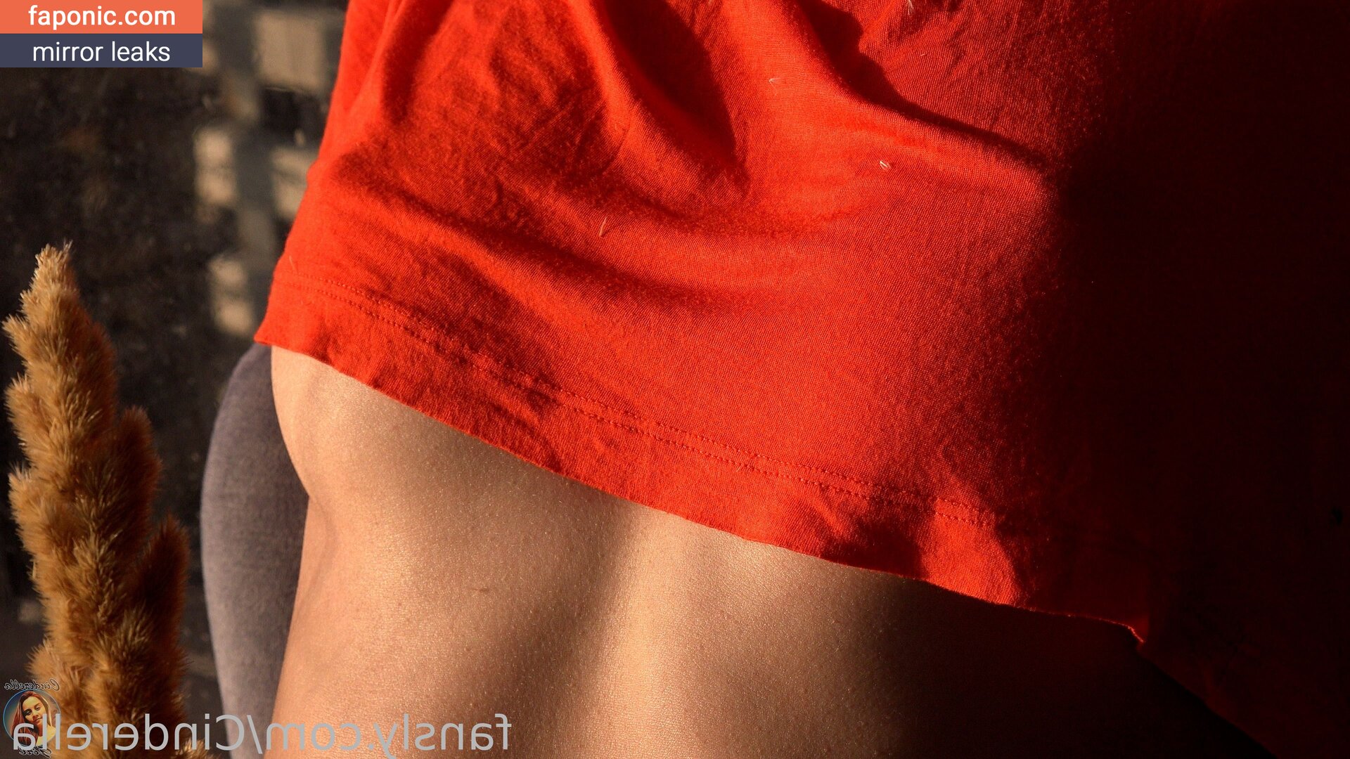 Cinderella Girl, Cinderella Story, cinderelagirl69, cinderelastory Scurgeri de nuduri OnlyFans Fotografie #192