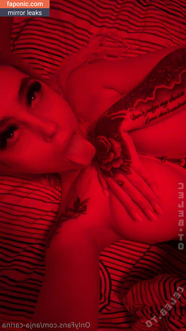 Anja Carina Haslinger, anja-carina, anja_carina_haslinger_awesome Scurgeri de nuduri OnlyFans Fotografie #202