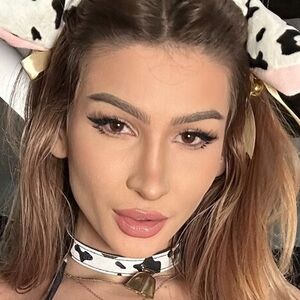 fandybtw